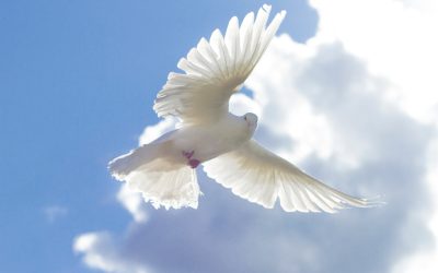 The Heartbeat of the Spirit